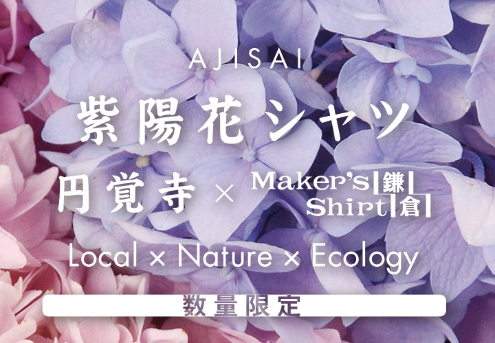 紫陽花