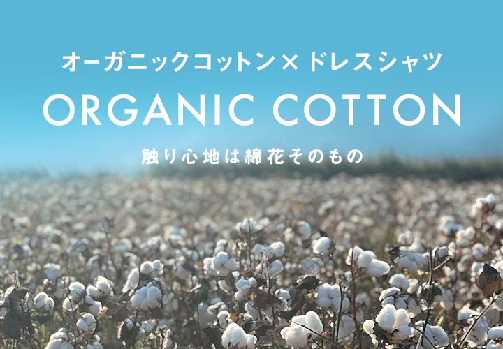 オーガニックコットン